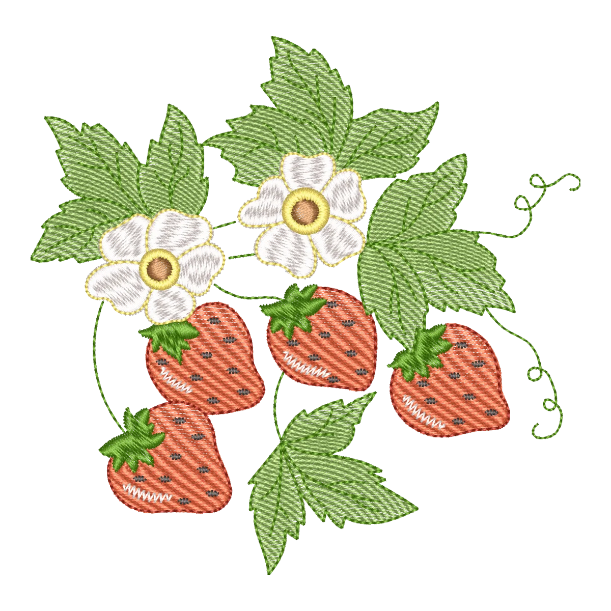 Jardim de Morangos Delicados