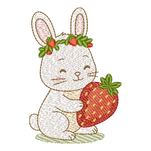 Coelhinho Moranguinho Encantado