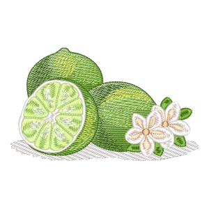 Bordado Cítrico Frescor Tropical